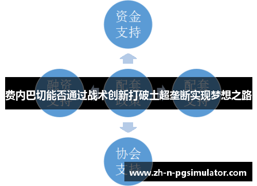 费内巴切能否通过战术创新打破土超垄断实现梦想之路