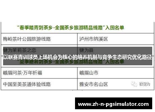 以联赛青训球员上场机会为核心的培养机制与竞争生态研究优化路径