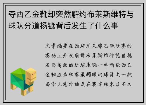 夺西乙金靴却突然解约布莱斯维特与球队分道扬镳背后发生了什么事