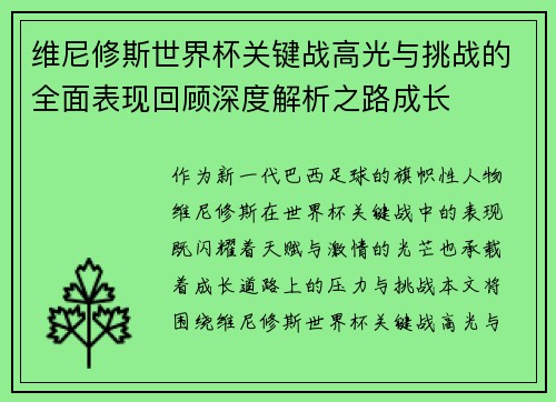 维尼修斯世界杯关键战高光与挑战的全面表现回顾深度解析之路成长